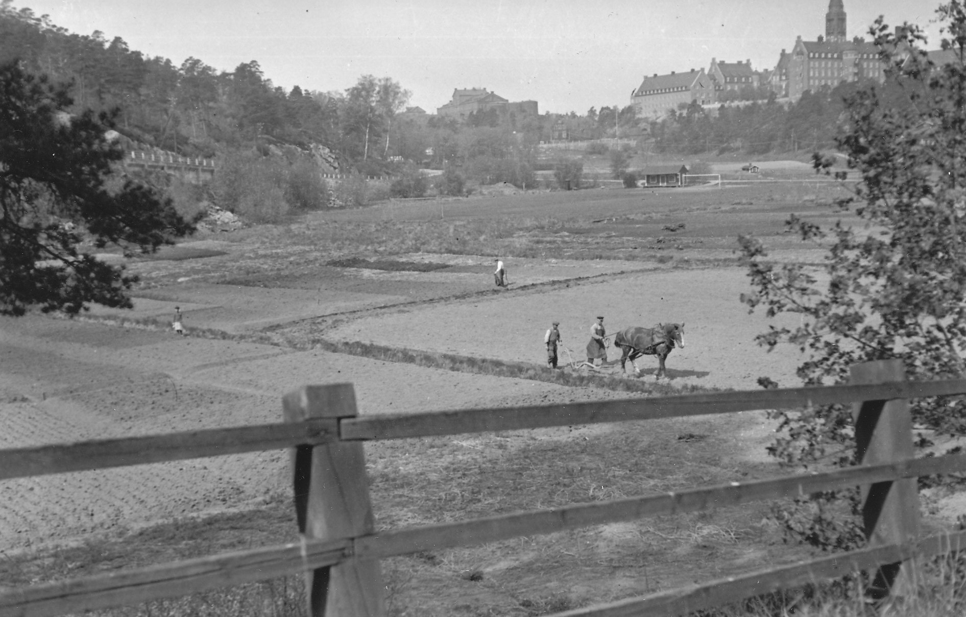 Åkrarna utefter Kvarnholmsvägen. Foto Gunnar Götherström 1937, Nacka lokalhistoriska arkiv.