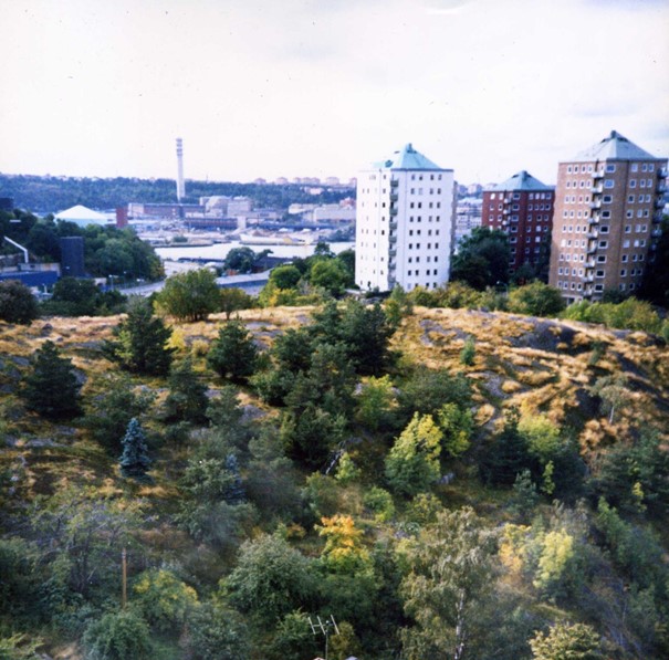 Bagarberget utan bebyggelse 1986. I bakgrunden Danviksklippans hus. Foto söderut från kvarnen av Kjell Eklund.